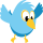 special_bird.png