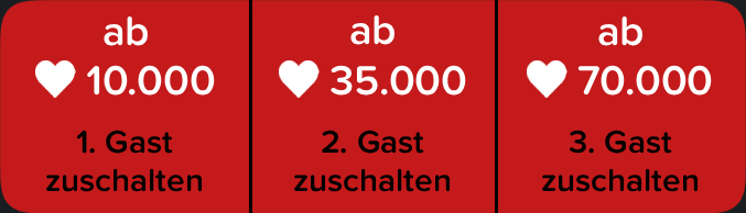 Gast zuschalten.jpg