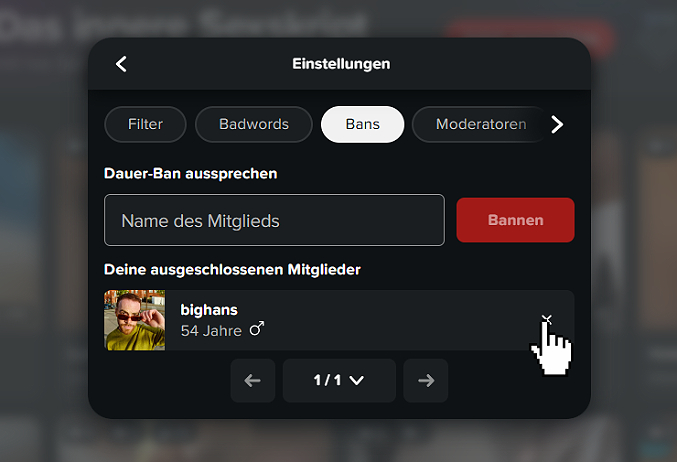 Bans_fertig.jpg