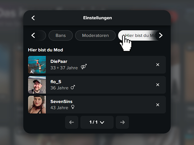 HierMod_fertig.jpg